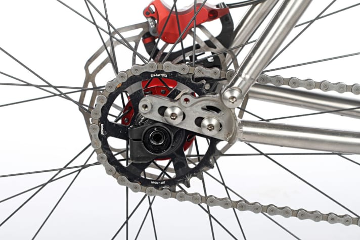   Große Kunst: Die kunstvollen Schlitten-Ausfallenden lassen sich mit allen Achsmaßen verwenden. Das Test-Bike kam mit X12-Steckachse.