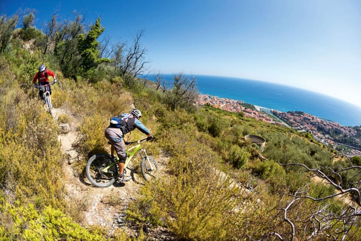 Snow-free and rideable even in winter: the trails on the Ligurian coast. The European downhill elite train here.