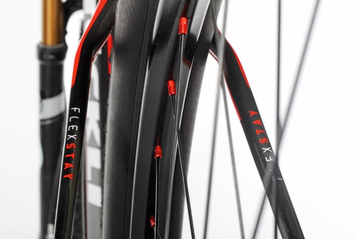   Filigraner als ein kleiner Finger: Die Sitzstreben am Stöckle Beryll heißen nicht umsonst Flexstays. Mehr Komfort erzeugt allerdings die Sattelstütze.