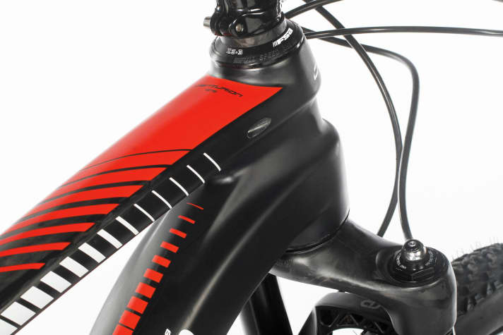   Steif und eigenständig: Durch seine Formensprache sticht der 1242 Gramm schwere Centurio-Backfire-Rahmen aus der Kohlefaser-Masse heraus.