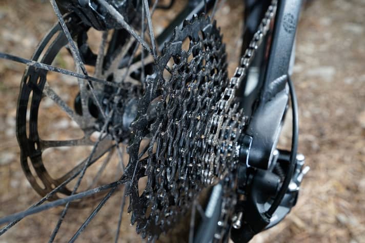   Riveted GX sprocket set with 10/42 teeth.