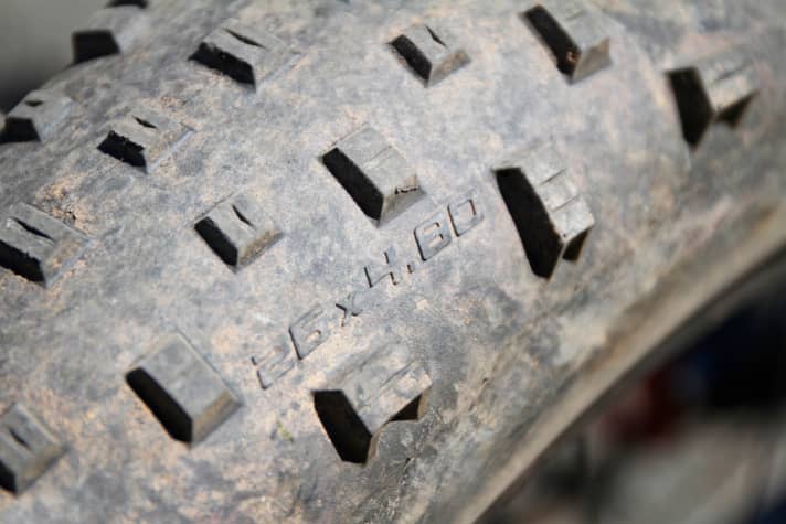   Thick 4.8 mm tyres are easily swallowed by the wide rear triangle.