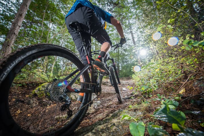   Kletter-Gene wie ein Race-Fully: Touren mit vielen Höhenmetern sind wie gemacht für das Decree.