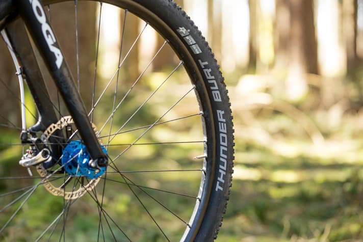   Der 2,25er-Thunder-Burt ist ein bemerkenswerter Anblick am Koga Beachracer Bike, in Serie kommt es sogar mit einem 2,35er-Super-Moto. 