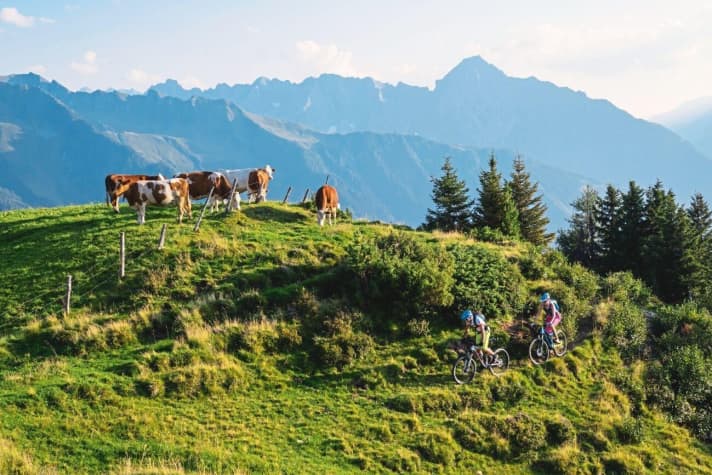   Climbing up the mountain flanks of the Kellerjoch from Fügen: the gradient only eases slightly from the Geolsalm onwards.