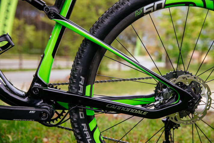 No joint in the rear triangle: the flexing seat stays take over the tasks of the Horst link.