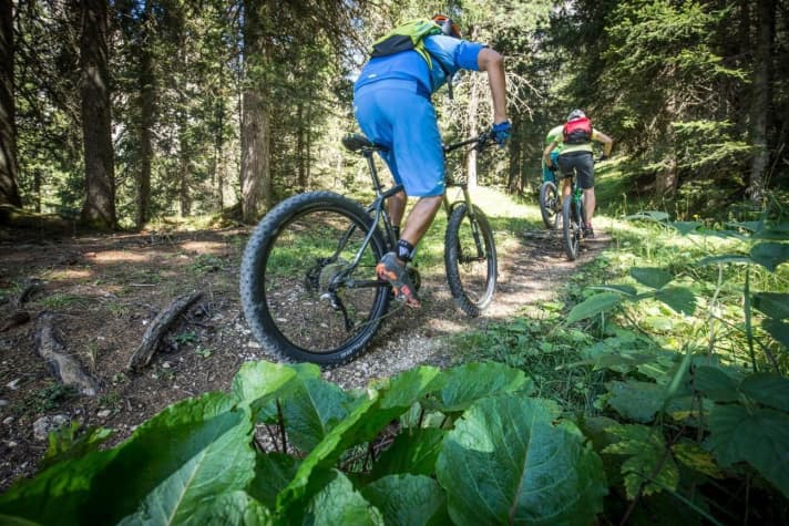   Together with two readers, we tested six push hardtails under 1700 euros.