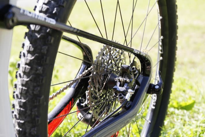   Extremely filigree: the flexing seat stays also do without a cross connection.