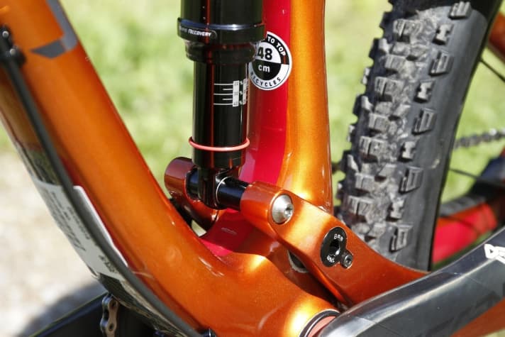   The main bearing on the No Pogo rear triangle can be adjusted. According to developer Genze, this should make the connection of the rear triangle more torsionally stiff.