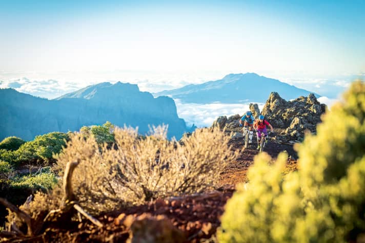   Wer mit Condor nach La Palma fliegt, kommt mit einem Leih-Bike günstiger. Tipp: eigenen Sattel und Pedale mitnehmen!