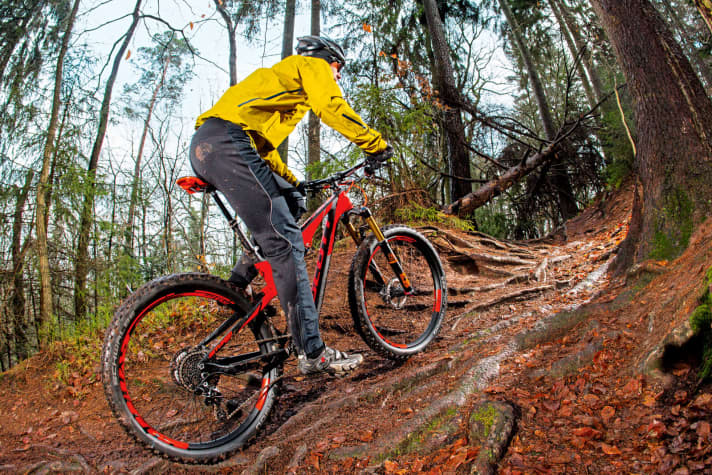   Damp, rooty terrain and a decent incline: This is where the Plus format really comes into its own.
