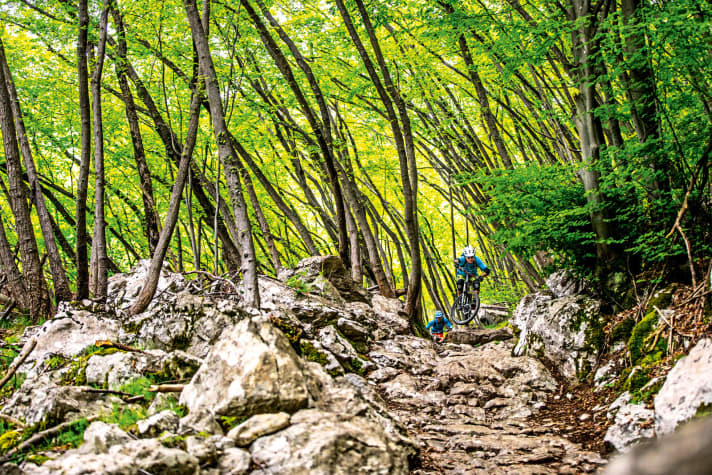   Visiting Canadians: Freeriders from overseas are used to slippery roots. They also had to get to grips with the finesse of Lake Garda first.