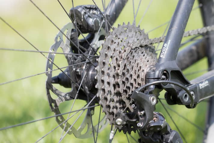   Liteville 101 Trail factory bike: The EVO-6 standard with asymmetrical rear triangle enables the same spoke tension on both sides.