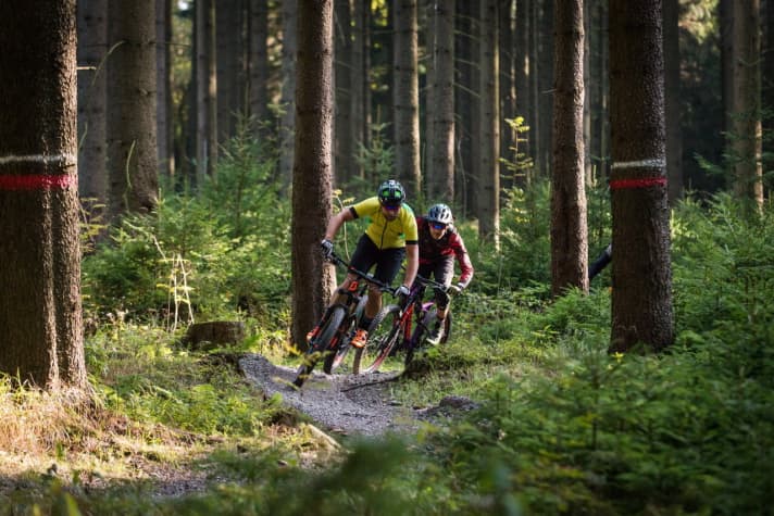   Das Trailcenter Rabenberg: Derzeit Deutschlands beliebtester Flow-Spielplatz für Mountainbiker.