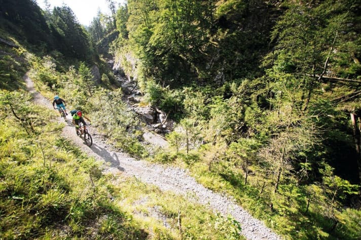   The Pyhrn-Priel region and the Kalkalpen National Park attract mountain bikers with a bike park and varied routes.