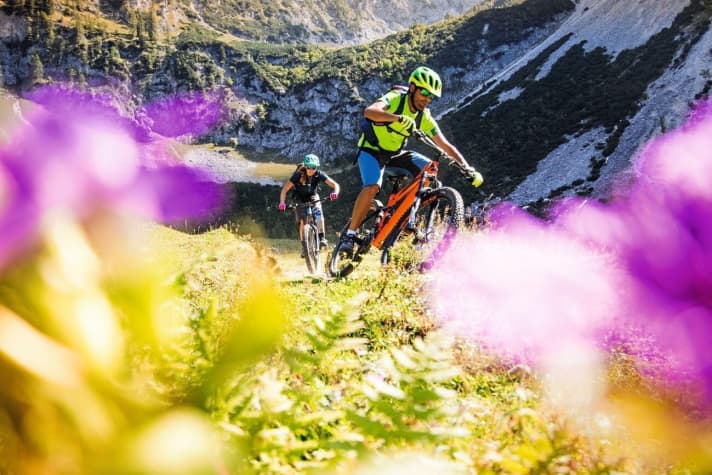   Bikepark-Panorama – Freeriden im Bikepark und Panorama erleben in Oberweng. Eine vielseitige Mischung.