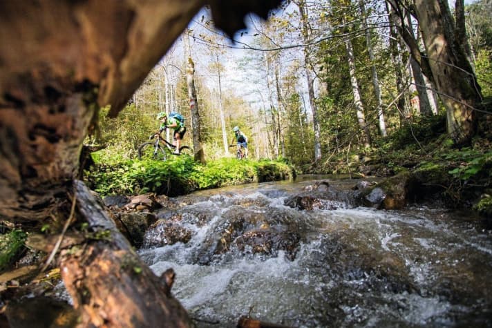   Bohemian Forest Secret - borderline experience over the steep steps into the Bohemian Forest and back along hidden paths.