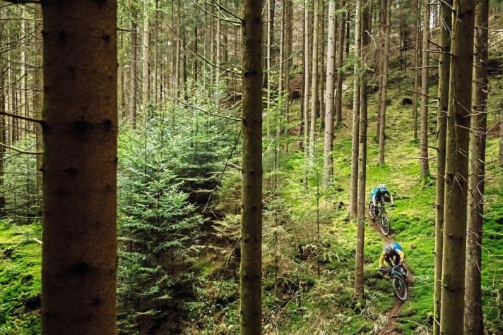   This year, the EBM will be run alone or in small groups. This offers the advantage of enjoying the tranquillity of nature, as long as the combative sniffing doesn't drown out the silence.