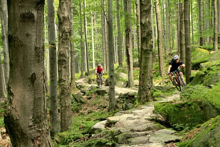   Trailcenter Rabenberg