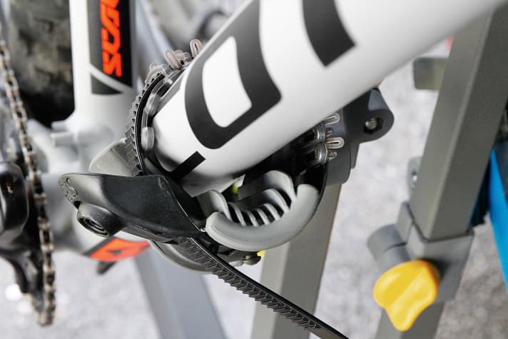 Saris Freedom (Bild 1)