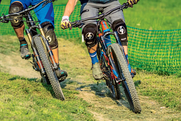 Wenn Biker auf den Wegen bleiben, schaden sie Flora und Fauna kaum.