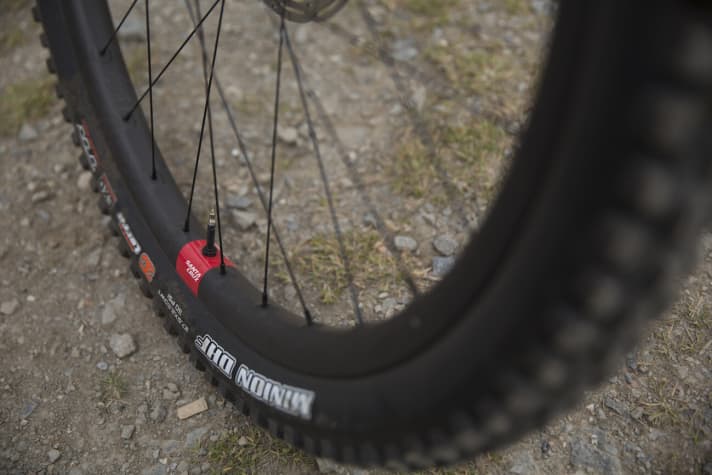   Spannend: Die neuen Carbon-Laufräder "Reserve" sind vorerst nur an den Komplettbikes zu haben. Santa Cruz gewährt lebenslange Garantie auf die Kohlefaser-Felgen.
