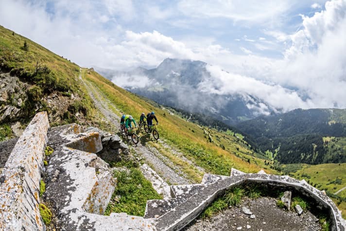  Brenner border ridge
