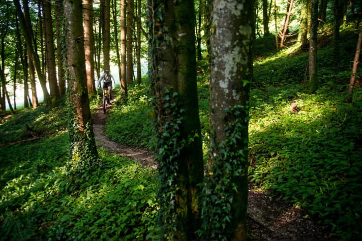   Der erste Anstieg geht direkt in einen kurzen, aber feinen Trail über.