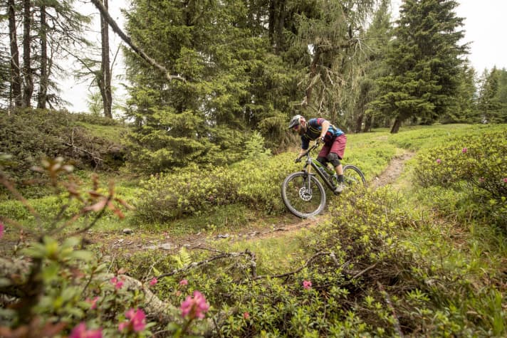   The Pikes Peak also offers plenty of reserves in rooty terrain.