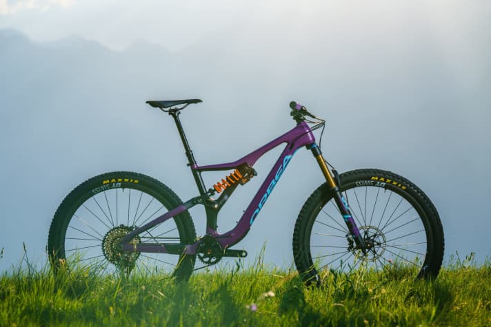   The top-of-the-range Orbea Rallon M-LTD model is available from dealers for 8,000 euros and features only the best components.