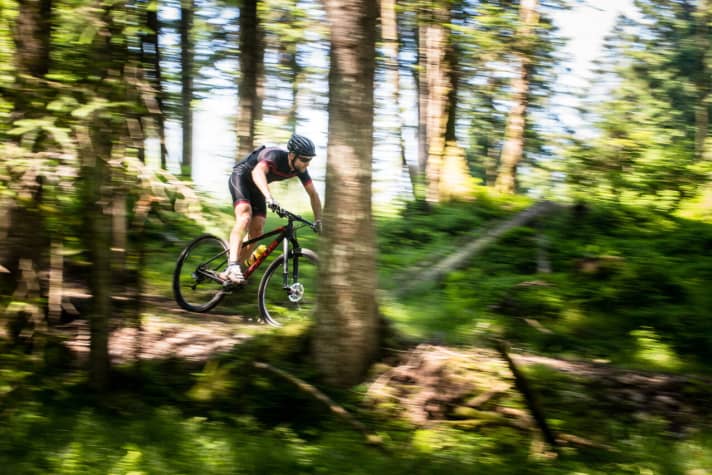   Mountainbiken auf Trails ist in Baden-Württemberg die Ausnahme, nicht die Regel. Deshalb ist dieses Bild auch außerhalb Baden-Württembergs entstanden.