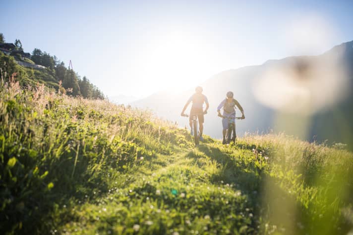   Wiesenwege zwischen Reckingen und Bellwald.