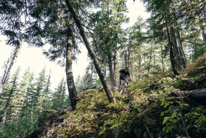   More grip and better damping. The Pipeline comes with 27.5 Plus tyres.