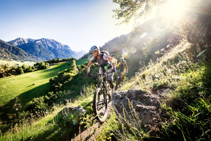 Trail bikes category