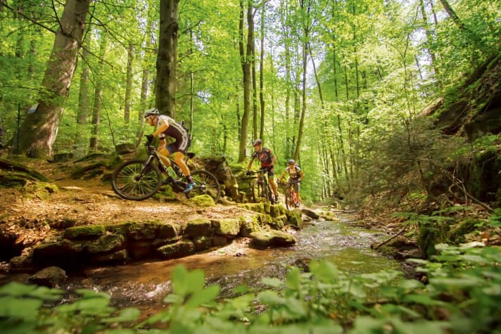   All eyes are on the trail. Who needs a view?