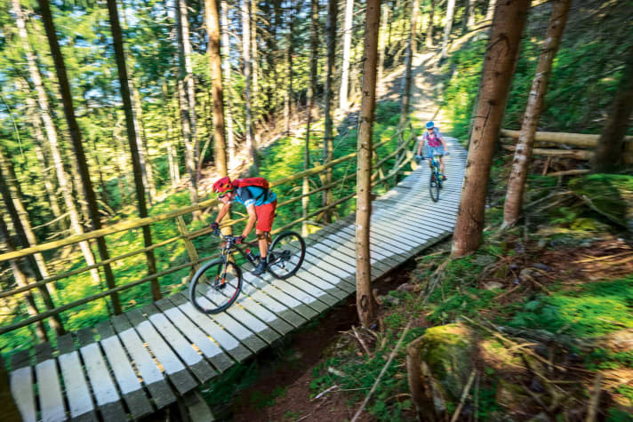   Wiesenalm Trail in the Zillertal (Austria)