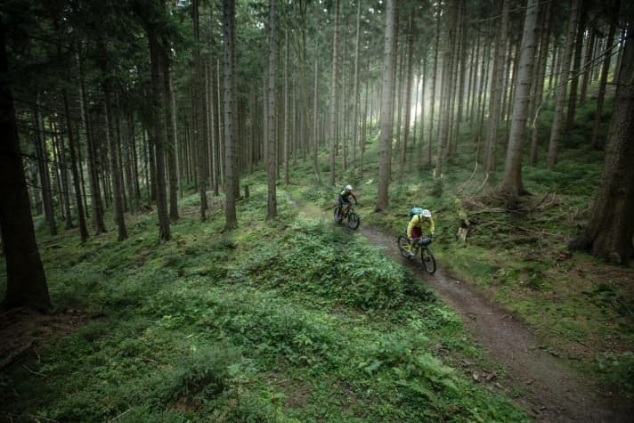 Auf der dritten Etappe des zweiten Teils mitten im Thüringer Wald.