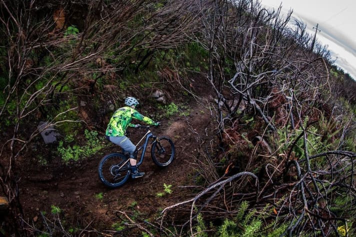   In order to prepare the bike for tougher trail use, Canyon has significantly increased the internal testing standards for the frame. The durability is said to have been significantly improved compared to its predecessor.