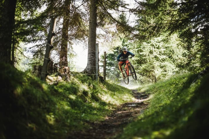   Nach der Klamerhütte wechselt die Abfahrt auf den nahtlos anschließenden Alter Almweg-Trail. Jetzt gilt es, entweder Schläge von unten abzufedern oder Wurzeln und Steinstufen als Rampen zu nutzen. Es gibt aber auch eine leichte Umfahrung.    