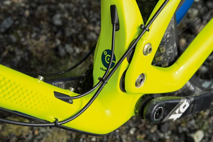 Two eccentrics replace the classic levers of a DW-Link rear triangle on the Ibis Ripley LS.