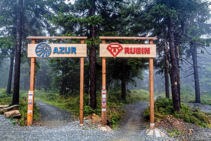   Klínovec Trail Park: The blue Azur Trail on the left is suitable for beginners; the red Rubin Trail on the right is more challenging for bikers.