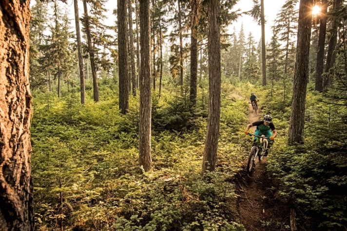   Whistler Mountain Bike Park, Canada