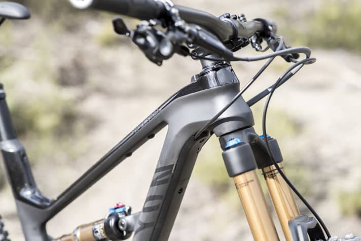 Beim WMN-Modell sitzt das Cockpit ab Werk etwas tiefer als beim Unisex-Modell, das Steuerrohr ist kürzer. Die Züge und Leitungen sitzen auch hier klapperfrei in einem Kabelschacht. Das entzückt jeden Hobby-Mechaniker.