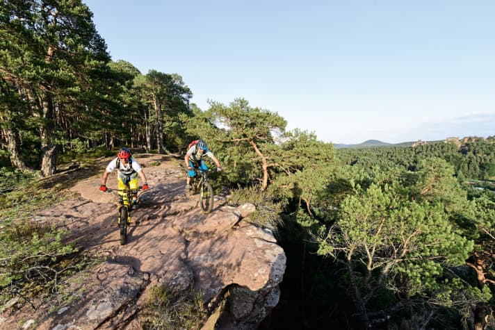  Palatinate Forest Bike Park, Germany