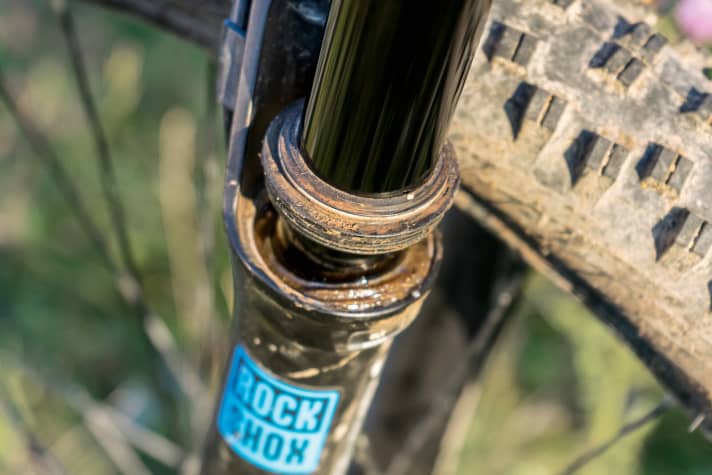   Focus Spine Evo - Defekt der Luftkammer