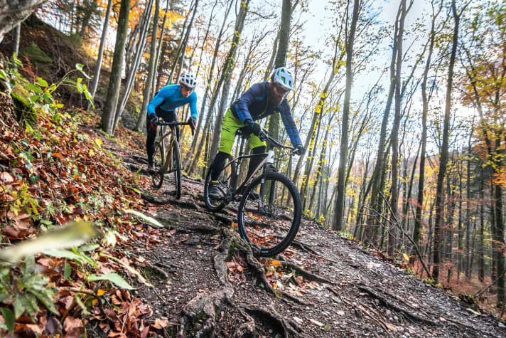   Auf Trails wird as Koga Colmaro Allroad vom MTB-Hardtail deutlich abgehängt. Auf Schotterpisten kann es dagegen mithalten.