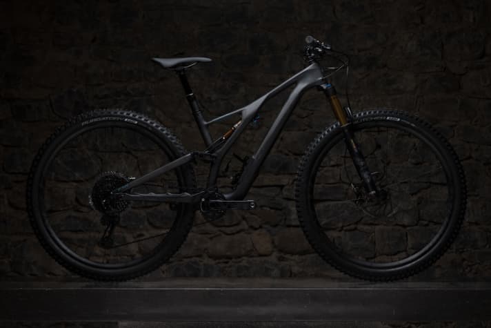   The Stumpjumper ST is aimed at trail bikers. The suspension of the 29-inch bike offers 120 millimetres of travel at the rear and 130 millimetres at the front.