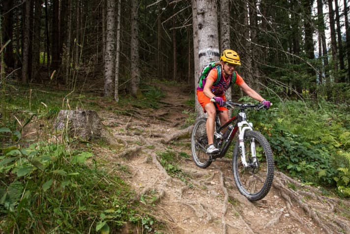   Root carpet on the Hirschleitentrail: With a maximum difficulty of category S2, the trail is more of a medium challenge.