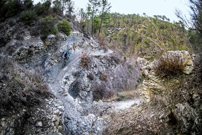   Man muss nicht Barel heißen, um den Trail zu meistern. Um die Kehren im Nose-Wheelie zu nehmen, aber doch.