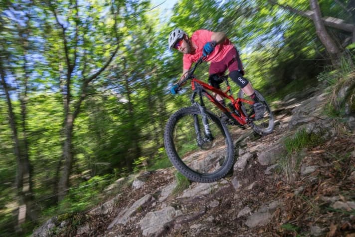   The Carbon Compulsion from Felt with its successful riding position is potent downhill, well equipped and costs 5999 euros.